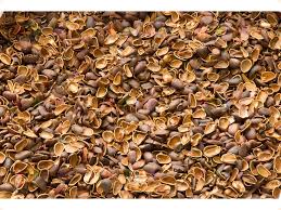 Скорлупа ореха кедрового, 600г